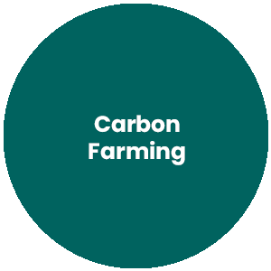 Circle with the words Carbon Farming in the center