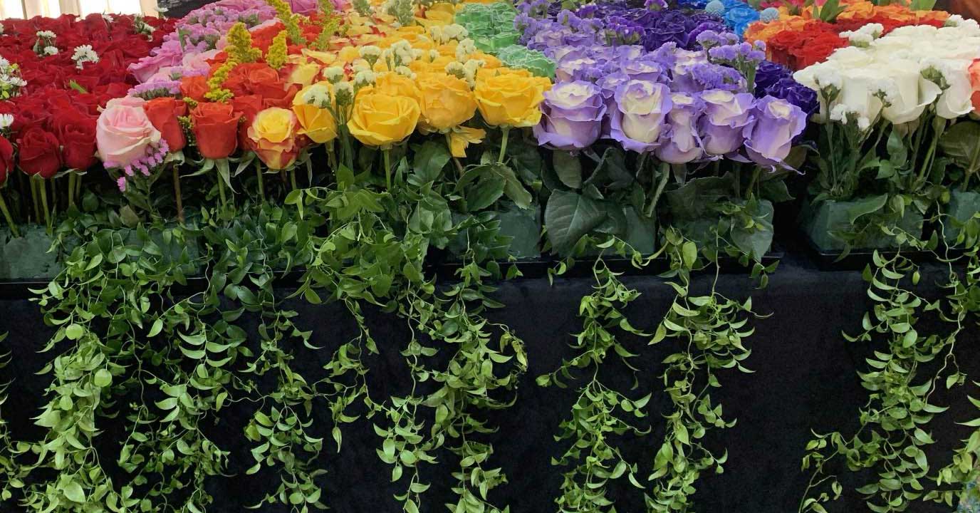 Rose display consisting of red, pink, orange, yellow and purple roses with long streams of greenery flowing over the edge of the table.